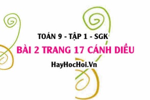 Bài 2 trang 17 Toán 9 tập 1 Cánh Diều